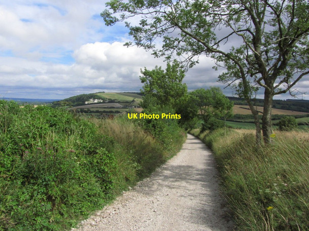 Photo 6"x4" View E along South Downs Way towards Hilltop from below Cocking Down Cocking c2013