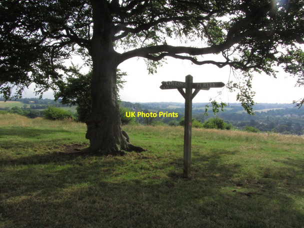 Photo 6"x4" Wooden way marker on Farthing Down near Coulsdon Coulsdon c2013