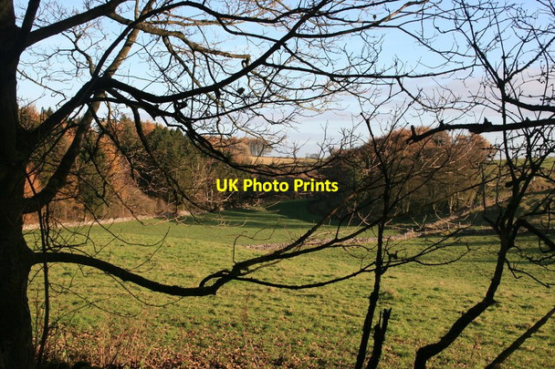 Photo 6"x4" Bolderstone Plantation Newhaven\/SK1660 c2013
