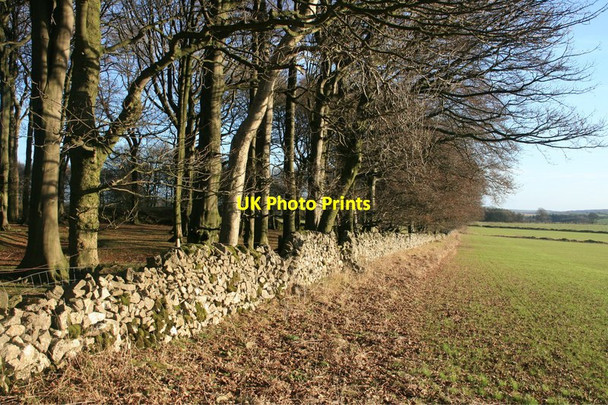 Photo 6"x4" Course of a Roman Road Newhaven\/SK1660 c2013