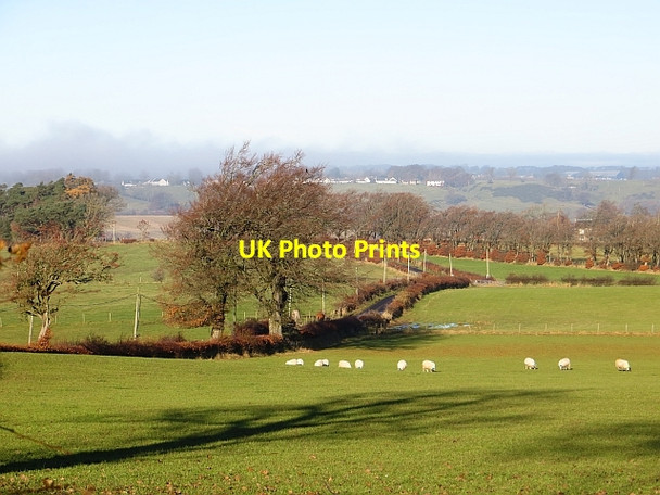 Photo 6"x4" Road, West Struther Sandford\/NS7143 c2013