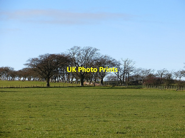 Photo 6"x4" Field, Kype Little Kype East c2013