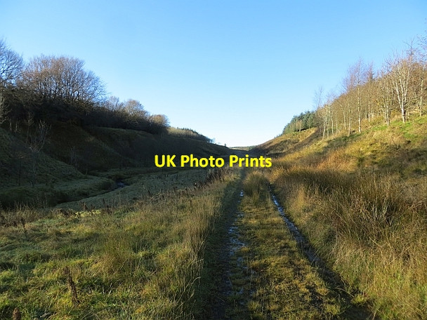 Photo 6"x4" Hareshaw Burn Hareshaw Burn\/NS7339 c2013