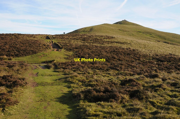 Photo 6"x4" Path to the west of Sugar Loaf Forest Coal Pit c2013