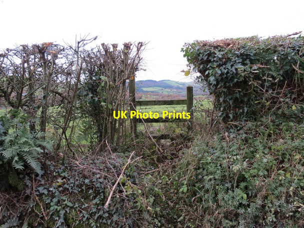 Photo 6"x4" Sticil Tir Mawr \/ Tir Mawr stile, Llangadog Felindre\/SN7027 c2013