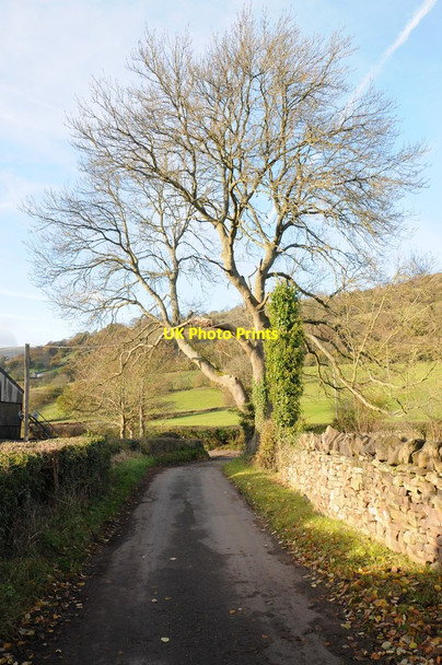 Photo 6"x4" No through road Llanbedr\/SO2320 c2013