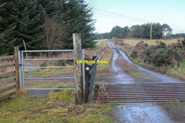 Photo 6"x4" Gate and cattle grid, Ada Hill Darnhall Mains c2013