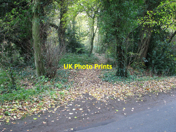 Photo 6"x4" Footpath through Ringland Hills Easton\/TG1310 c2013