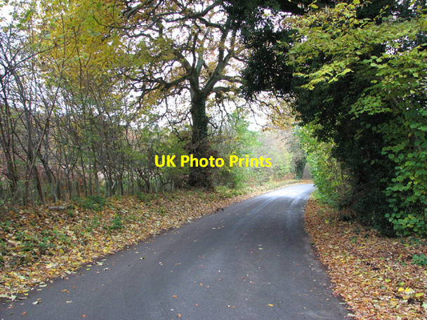 Photo 6"x4" This way to Ringland on Costessey Lane Costessey Park c2013