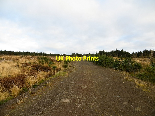 Photo 6"x4" Logging road, Kype Muir Sandford\/NS7143 c2013