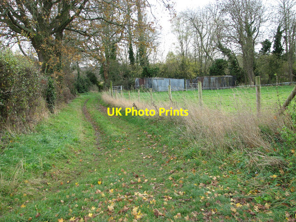 Photo 6"x4" Footpath to Ringland Ringland\/TG1314 c2013