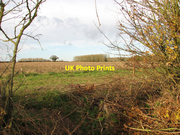Photo 6"x4" Fields by Glebe Farm, Ringland Ringland\/TG1314 c2013
