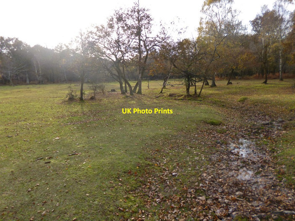 Photo 6"x4" Clayhill Heath, brook Balmerlawn c2013