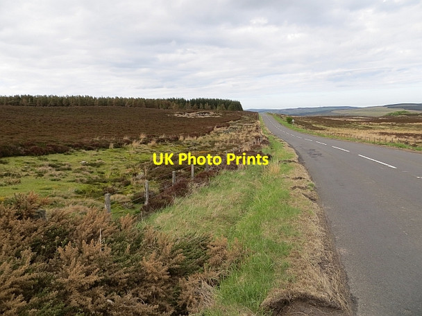 Photo 6"x4" B6341, Gowk Hill Swallow Knowe c2013