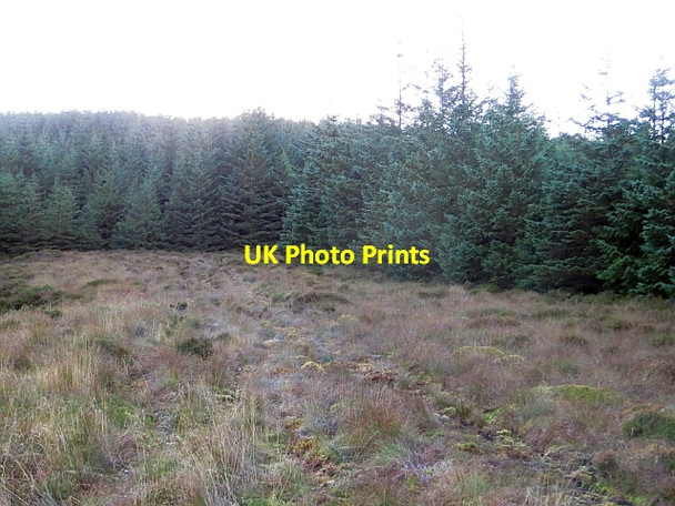 Photo 6"x4" Ride, Auchengilloch Auchengilloch c2013