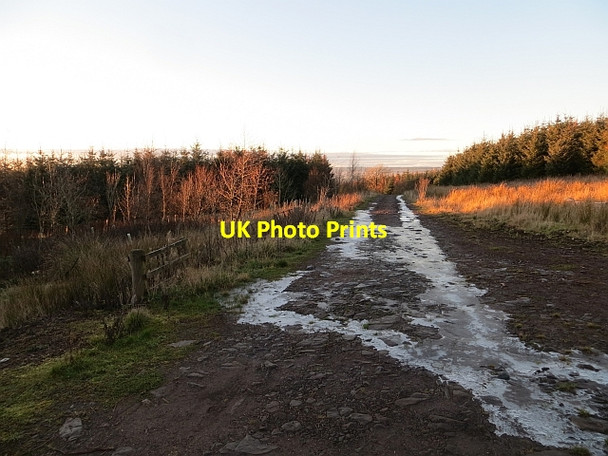 Photo 6"x4" Auchengilloch road Caldermill c2013