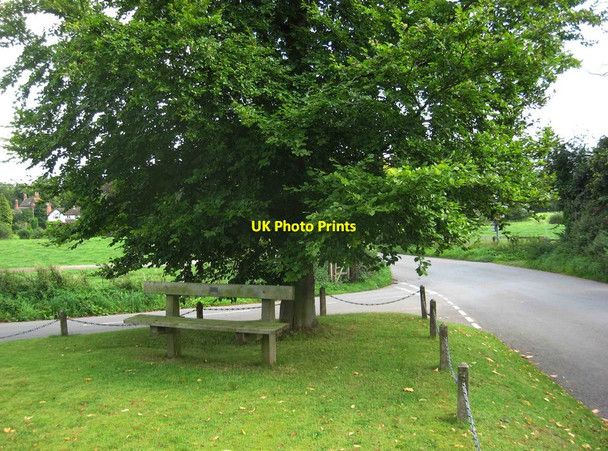 Photo 6"x4" A seat under a tree, Main Street, Worfield, Shrops Worfield c2013