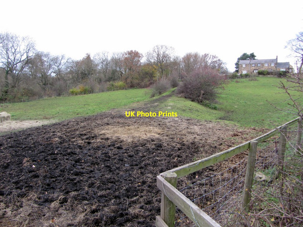 Photo 6"x4" Embankment of former Walbottle Waggonway Ryton\/NZ1564 c2013