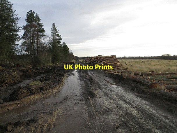 Photo 6"x4" Glaur, Muir of Thorn Bankfoot\/NO0635 c2013