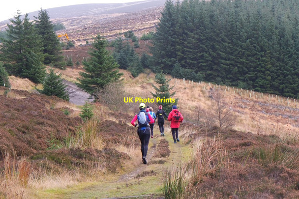 Photo 6"x4" Hill runners on Little Minch Moor West Bold c2013
