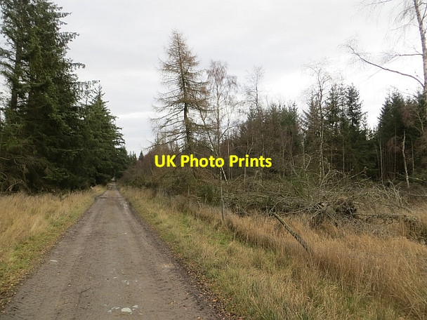 Photo 6"x4" Road, Muir of Thorn Murthly c2013