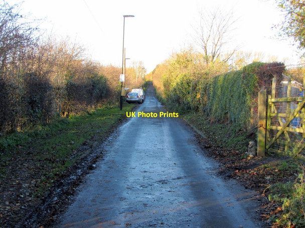 Photo 6"x4" Lane east of Walbottle Campus Ryton\/NZ1564 c2013
