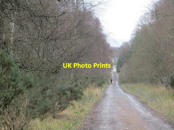 Photo 6"x4" Road, Muir of Thorn Murthly c2013