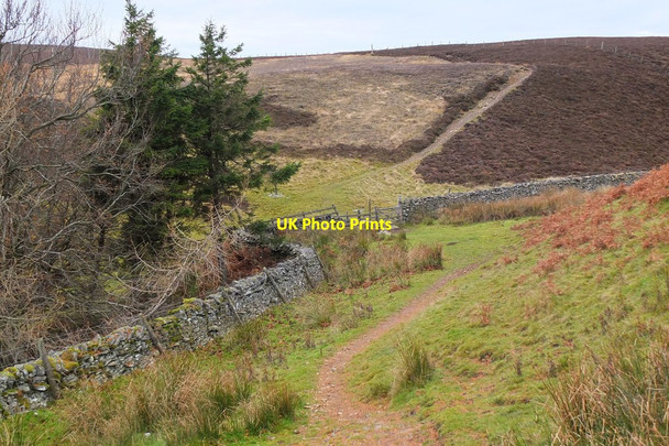Photo 6"x4" Southern Upland Way at Four Lords Lands (2) Williamhope c2013