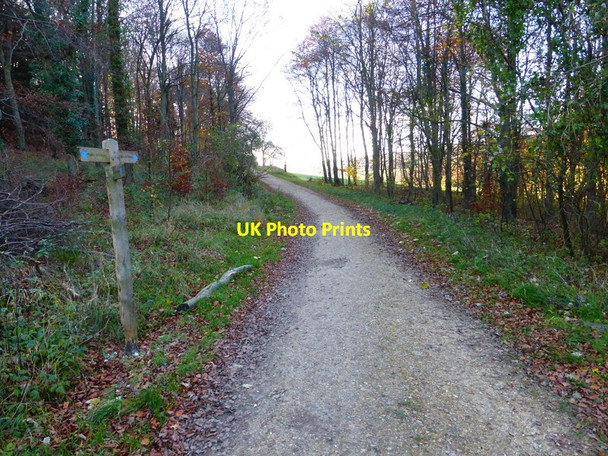 Photo 6"x4" Bridleway leaves wood going south from Chilgrove Stoughton\/SU8011 c2013