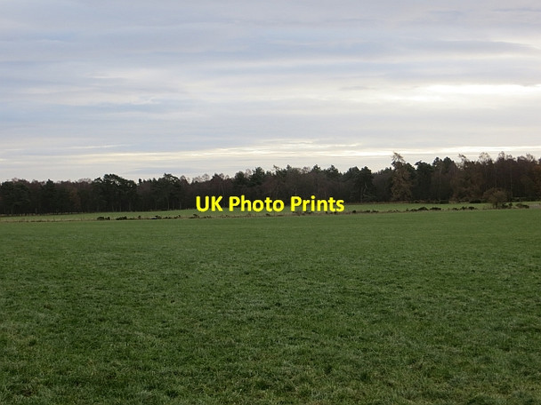 Photo 6"x4" Large field, Baldarroch Murthly c2013