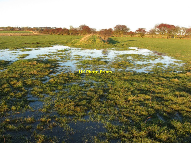 Photo 6"x4" Embankment of former Walbottle Waggonway (eastern branch) Callerton c2013