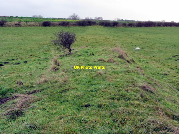 Photo 6"x4" Embankment of former Walbottle Waggonway (eastern branch) Callerton c2013