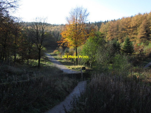 Photo 6"x4" Autumn colours, Macclesfield Forest below Trentabank Reservoir Langley\/SJ9471 c2013