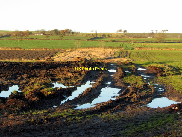 Photo 6"x4" Fields north of Dewley  Farm North Walbottle c2013