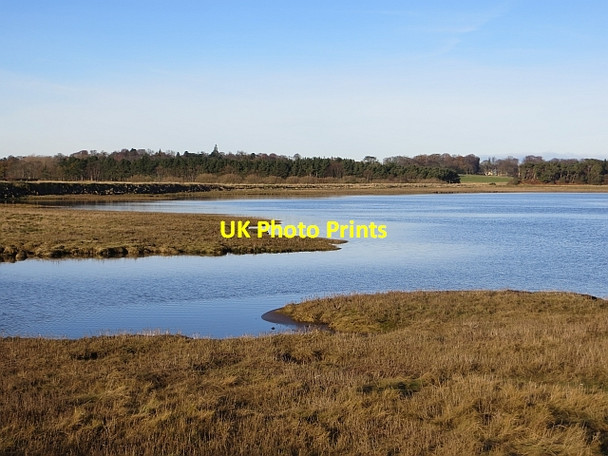 Photo 6"x4" Tyne Estuary Knowes\/NT6177 c2013
