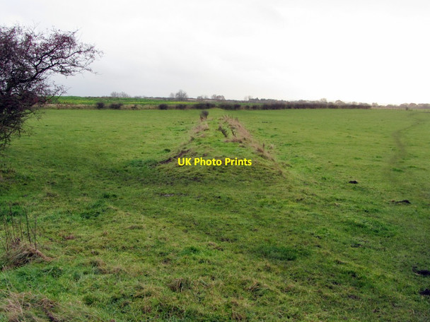 Photo 6"x4" Embankment of former Walbottle Waggonway (eastern branch) Callerton c2013