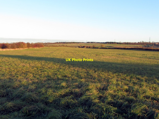 Photo 6"x4" Grassland south-west of Callerton Callerton c2013