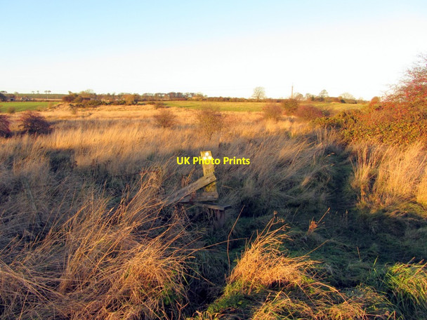 Photo 6"x4" Rough pasture south of Lough House Callerton c2013