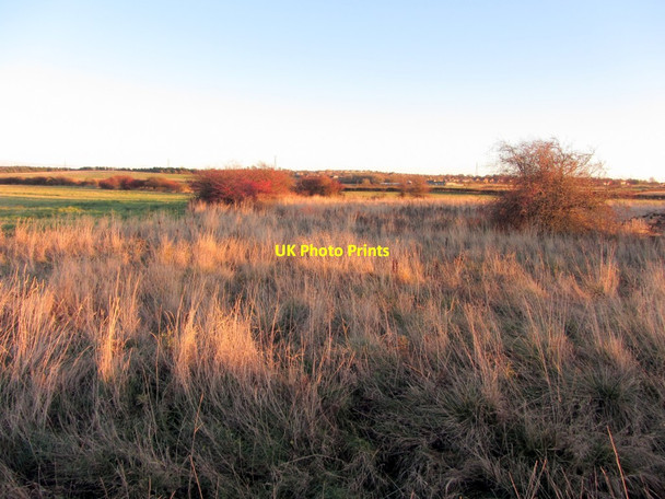Photo 6"x4" Rough grassland towards North Walbottle Callerton c2013