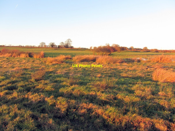 Photo 6"x4" Fields south-west of Callerton Callerton c2013