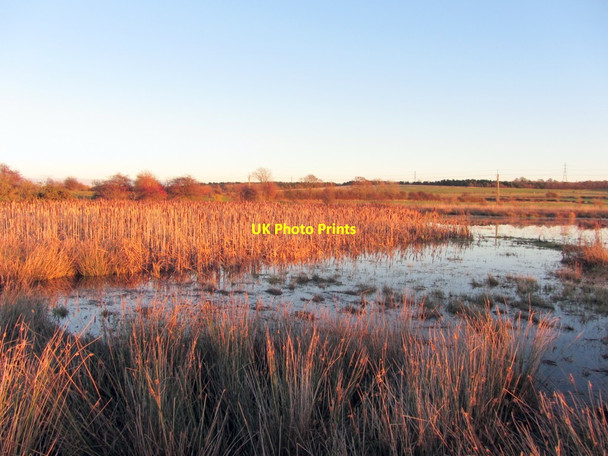 Photo 6"x4" Callerton Pond Callerton c2013