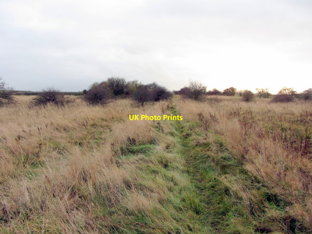Photo 6"x4" Eastern arm of former Walbottle Moors Waggonway Callerton c2013