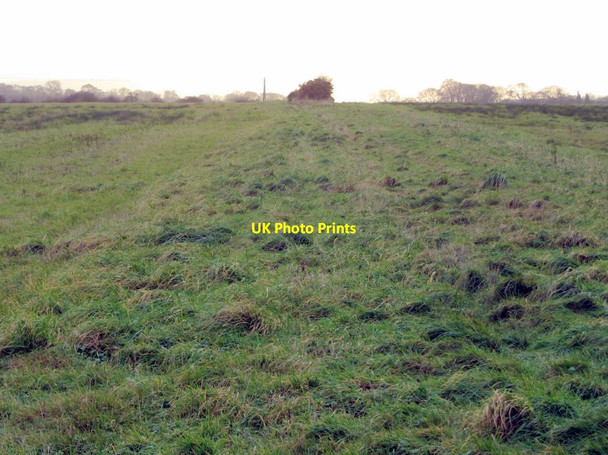 Photo 6"x4" Eastern arm of former Walbottle Moors Waggonway Callerton c2013 P1