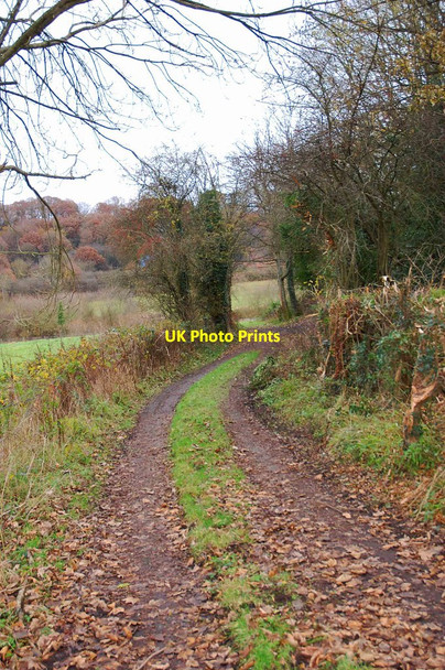 Photo 6"x4" Track from the B4194 road to old churchyard, Dowles near Bewdley, Worcs Bewdley\/SO7875 c2013