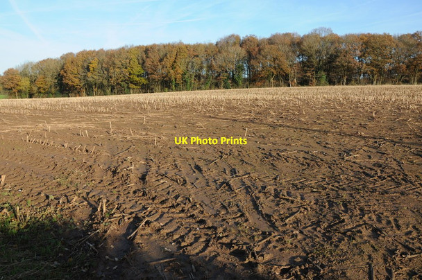 Photo 6"x4" Harvested field, Edwyn Ralph Edwyn Ralph c2013