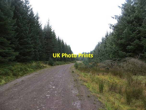 Photo 6"x4" Logging road, Araburn Rig Araburn Rig c2013