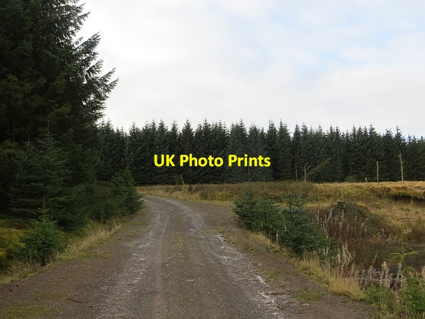 Photo 6"x4" Middle Rig Sandford\/NS7143 c2013