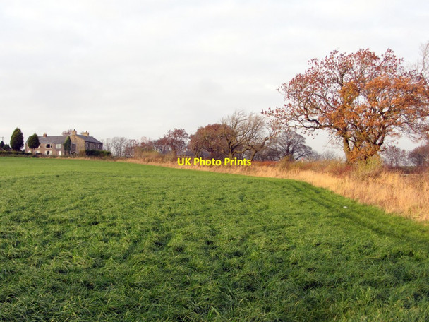 Photo 6"x4" Black Callerton from the south Black Callerton c2013