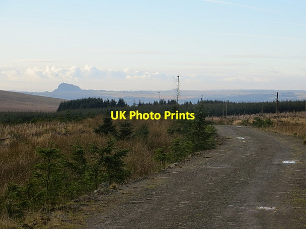 Photo 6"x4" Logging road, Middle Rig Sandford\/NS7143 c2013