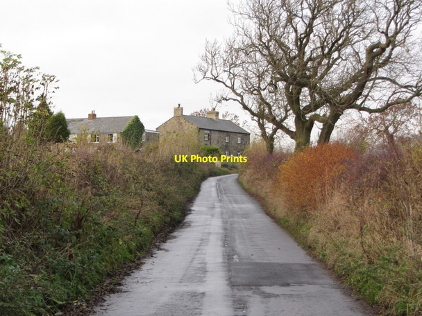 Photo 6"x4" Black Callerton Black Callerton c2013